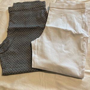 2 pairs stretch dress Briggs Petite Large dress pants